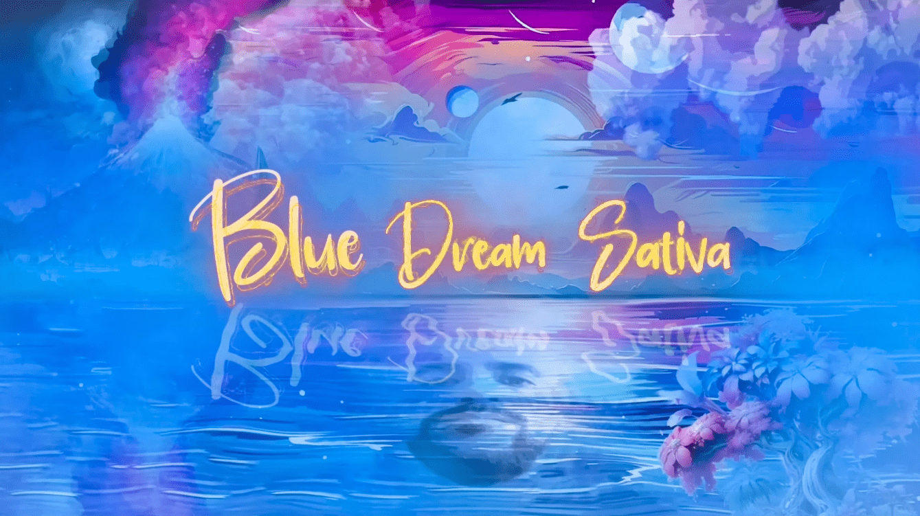 Random – Blue Dream Sativa