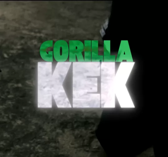 KEK - Gorilla