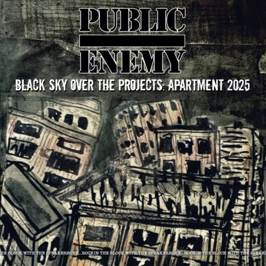 Public-Enemy-1751036393-1000x1000