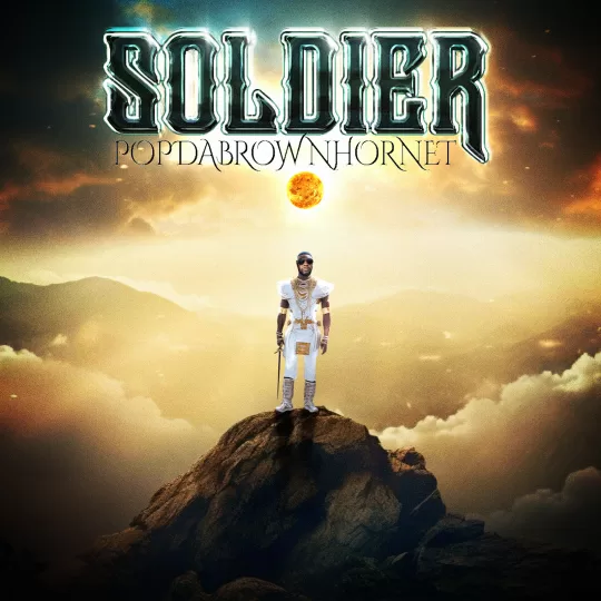 Pop the brown hornet - soldier thumbnail