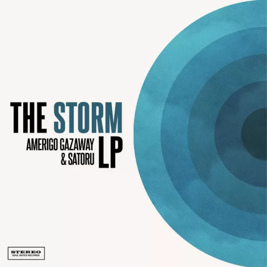 Amerigo Gazaway - The Storm LP Cover
