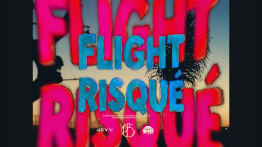 Flight risque thumbnail