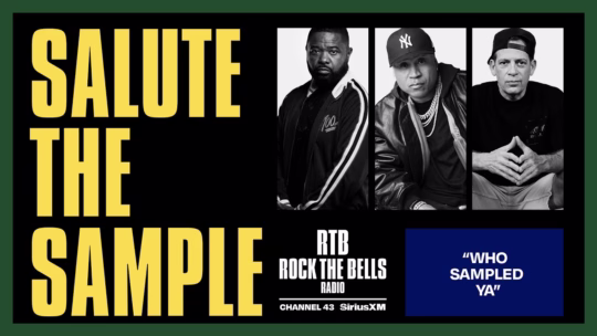 Salute-the-sample-540x304.avif